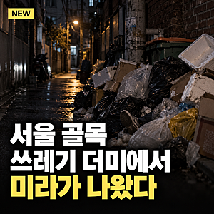 “쓰레기 더미에서 미라 나왔다”서울 구로구 골목 시신 발견,60대·80대 남성 긴급체포