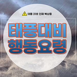 제31호 태풍 인파 한국 오나? 초속 51m 북상 경로 및 한반도 영향 총정리