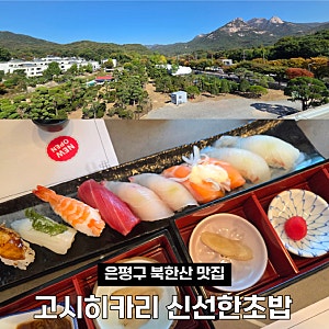 은평구 북한산 뷰 고시히카리 신선한 초밥 주차 편한 가족식사 맛집