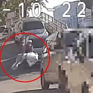 "집주인이 시켜서 버렸다?" 구로구 미라 시신 유기 피의자들의 뜻밖의 관계