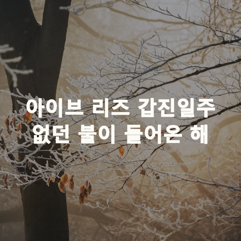 아이브 리즈 사주 갑진일주, 원국에 없던 불이 올해 처음 들어왔습니다
