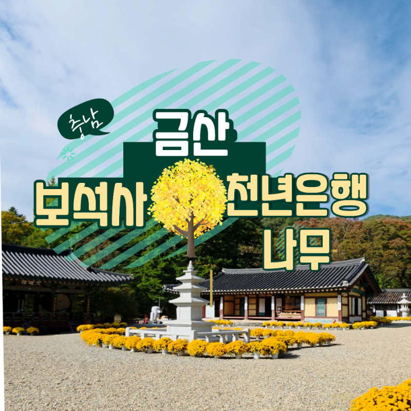 금산 가볼만한곳 보석사 사찰 힐링 산책과 천년 은행나무 소원지