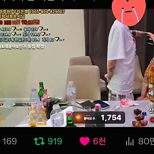 카광 누구길래 국감까지?…47만 유튜브 채널 삭제된 이유