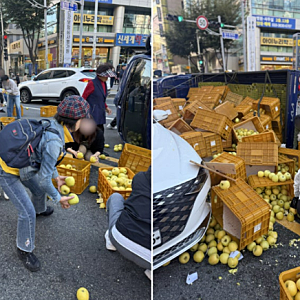 부산 도로에 쏟아진 사과, 지나가던 시민 10명이 한 일