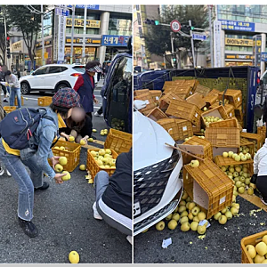 부산서 트럭 넘어져 사과가 도로에 쏟아지자…지나가던 시민 10여명 한 행동, 역시 부캉이의 ....