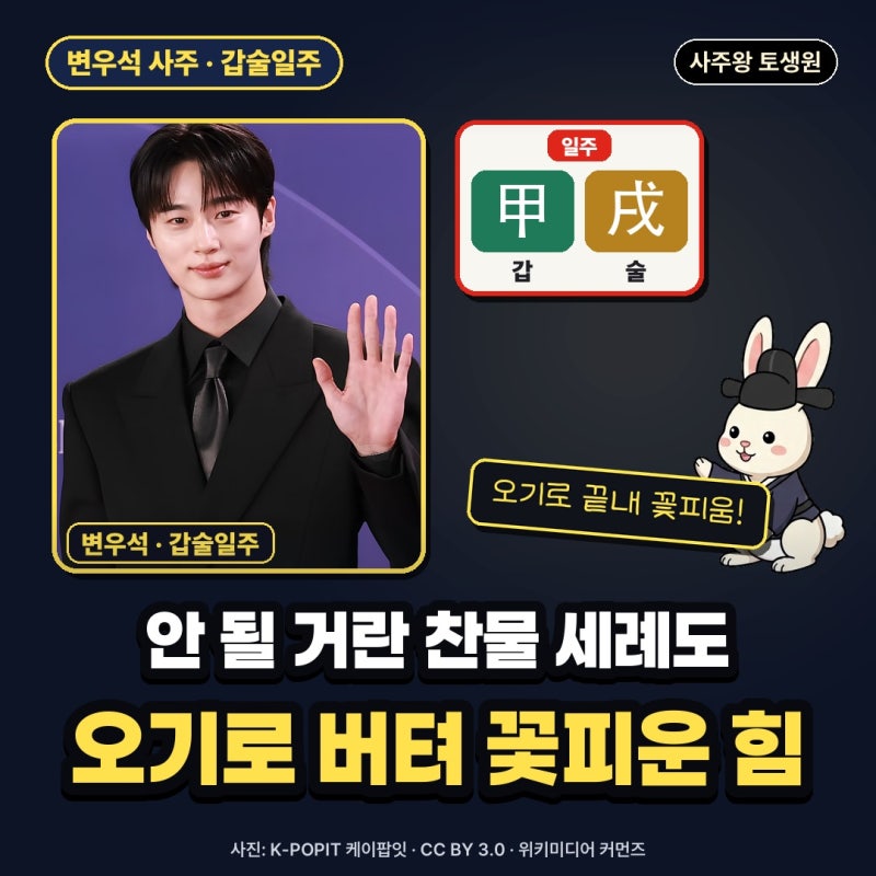 변우석 사주 갑술일주, 안 된다는 말 듣고도 끝내 꽃피운 힘