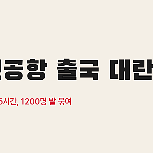 인천공항 출국 대란, 체크인 시스템 장애로 5시간 발 묶인 1200명… 지연 보상은 받을 수 있을....