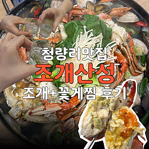 경동시장맛집 청량리역근처 맛집조개산성 조개랑 먹는 알가득 푸짐한 꽃게찜 후기