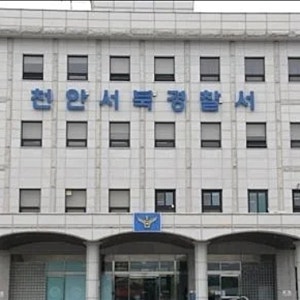 "주식으로 돈 잃고 죽을 결심"…천안서 20대 일본인 여성 살해한 30대 남성