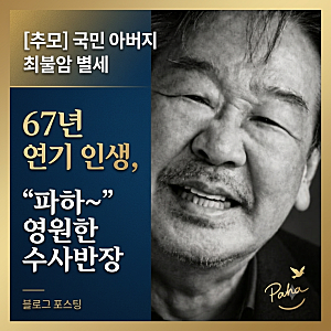 국민 아버지 배우 최불암 별세…67년 연기 인생, 그가 남긴 발자취