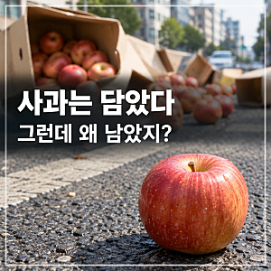 부산 연산역 사과 수십 상자 쏟아진 도로, 지나던 시민들이 멈췄다
