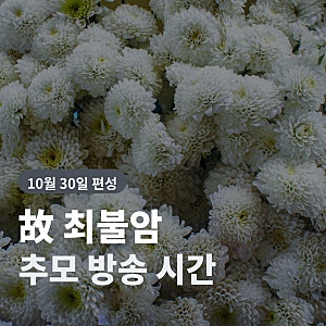 최불암 별세 향년 87세, 추모 방송 시간과 대표작 정리