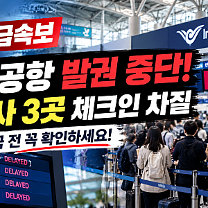 [인천공항 발권 중단] 체크인 시스템 장애 발생! 중국 항공사 3곳 발권 차질, 출국 전 꼭 확인....
