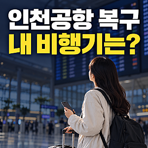 인천공항 시스템 장애 복구, 내 항공편 지연·환승 영향 확인하는 법