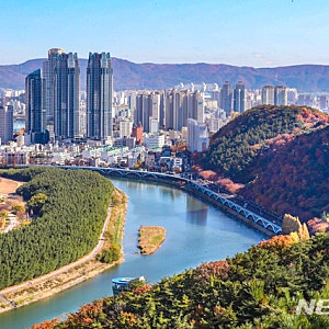 울산 태화강 상류 보에서 20대 여성 변사체 발견, 경찰 감식 착수한 전말