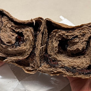 화이트리에 망포점 초코식빵 구매 후기