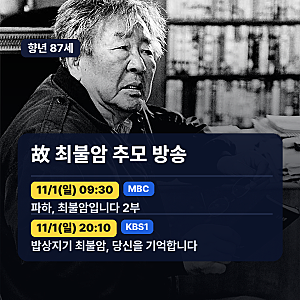 故 최불암 별세, 김혜자 "곧 만날 것"…KBS·MBC 추모방송은 언제?