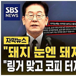 "돼지 눈엔 돼지만 보인다.." 14차례 23개국 순방 논란 이재명 대통령 발언