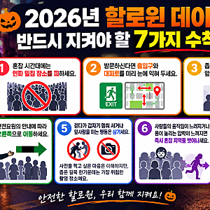 2026 핼러윈 경찰 7,800명 투입, 이태원·홍대에 무슨 일? 전국 28곳 총력 대응한 진짜 이유