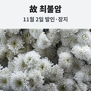 故 최불암 발인 11월 2일, 장례미사·장지는 어디서
