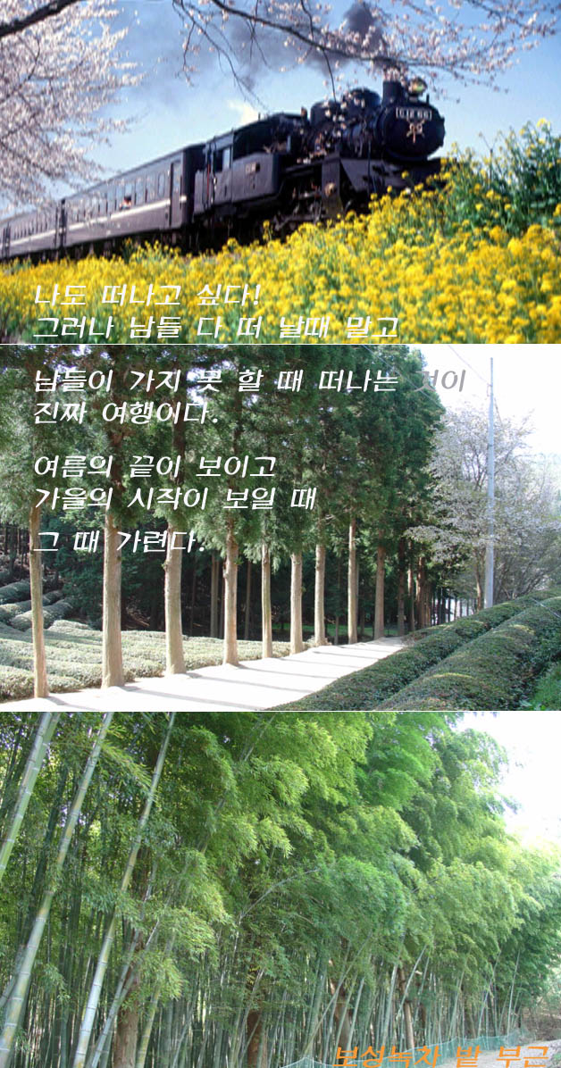  여행을 떠나요! 난 회사를 지켜요!