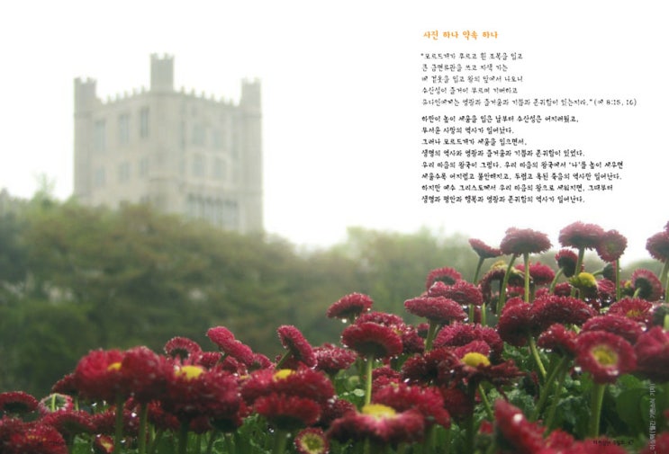  사진하나 약속하나