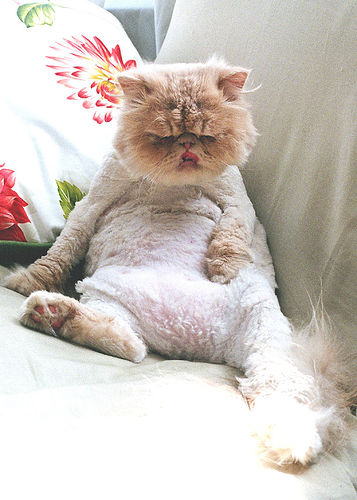  이거이.. 이러다..