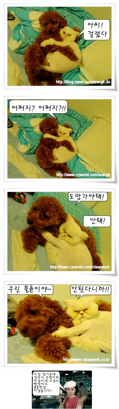  아랑은 불륜사진 전문가