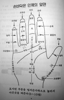 사혈침 부위(손바닥)와 음양오행 : 네이버 블로그