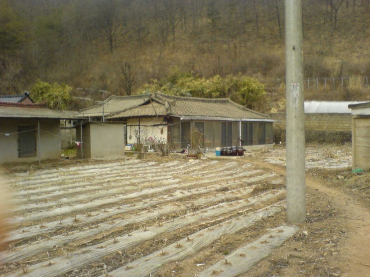  2007년 3월 2일 우리집