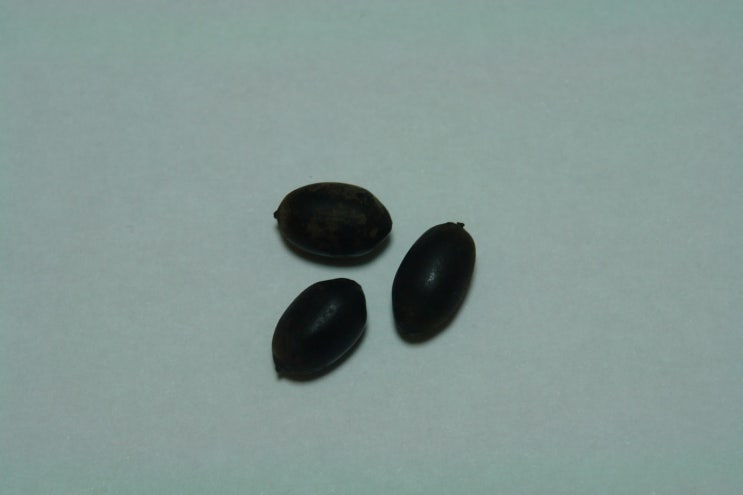  유월의 기로에서 . .... . - 여섯번째