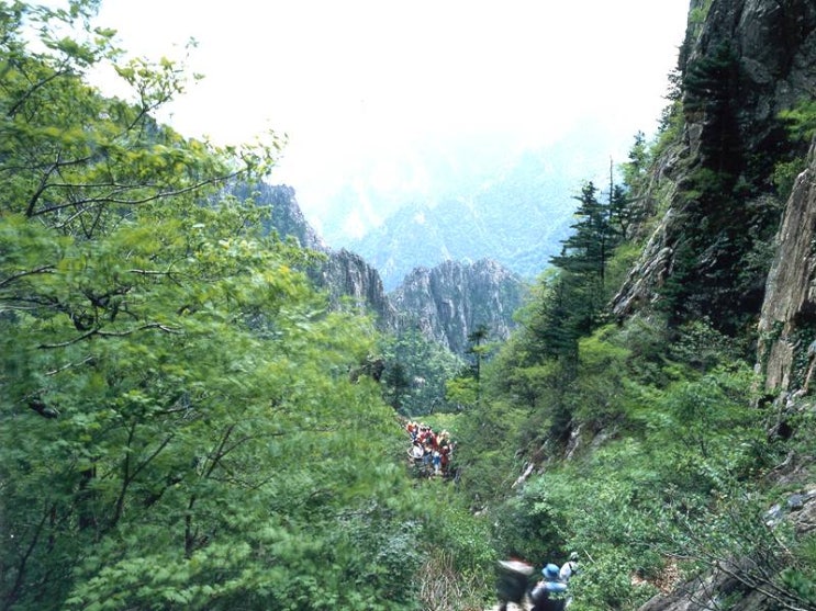  금강산