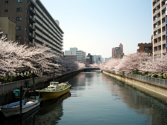 2007年4月 木場 2007年4月 木場