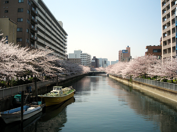 2007年4月 木場