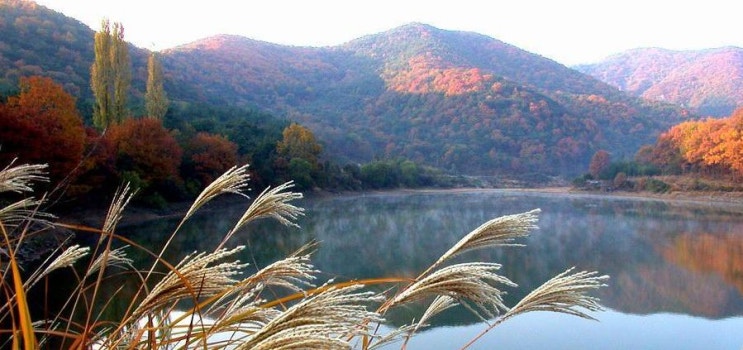  마음을 산책하며