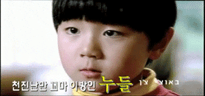  누들!!