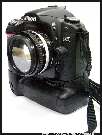 D80 + Nikon Lens Series E 50mm 1:1.8 MF.