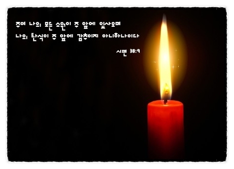  배형규라는 이름을 기억하며