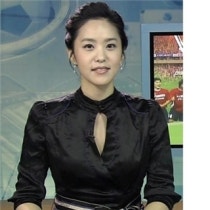 ì•„ë‚˜ìš´ì„œ ì „ì„±ì‹œëŒ€ ë„¤ì´ë²„ ë¸