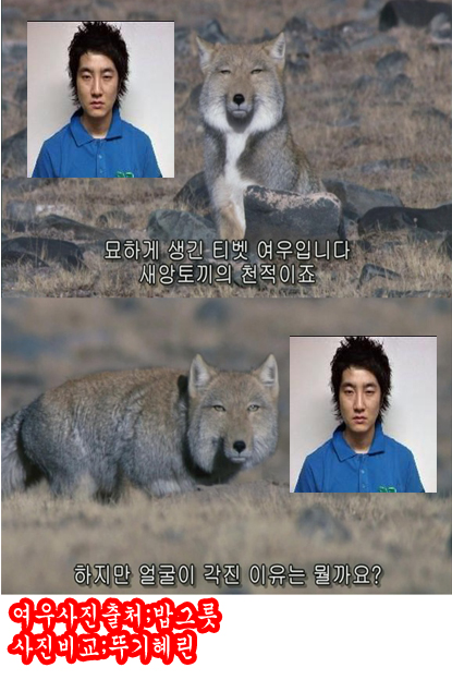  　티벳여우 = DJ Tukutz ? [+핸드폰바탕화면]