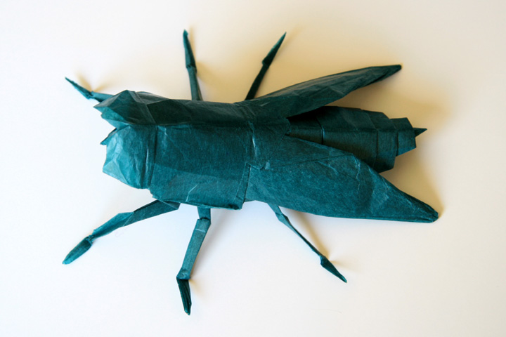 종이접기(origami)로 만든 곤충들... : 네이버 블로그 종이접기(Origami)로 만든 곤충들... : 네이버 블로그