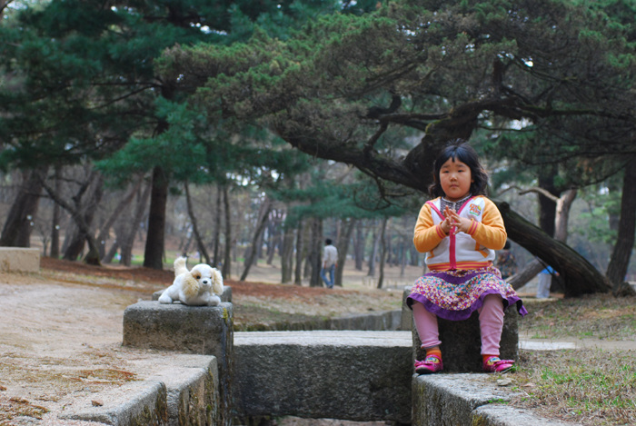 [2008년 4월 홍유릉] 강아지 사주세요