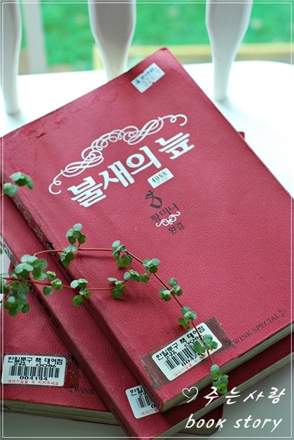 불새의늪 & 아뉴스데이 (작가 황미나)