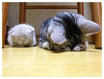 새해 복 많이 받으세요. 새해 복 많이 받으세요.