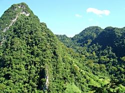 Pu Hu와 Phu Luong 자연보호구역 관광지 개발