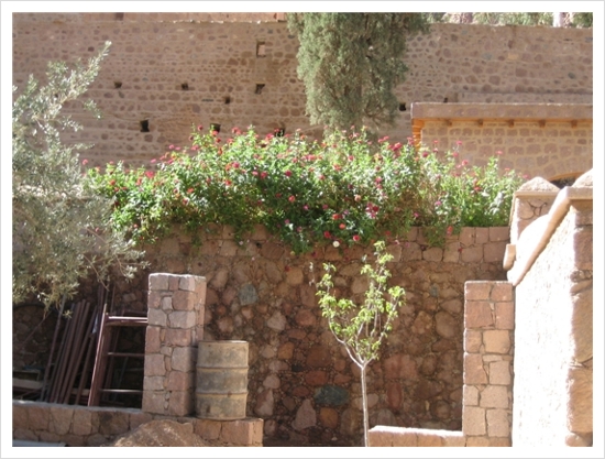 성 카타리나(캐서린) 수도원 - The Monastery of St. Catherine Sinai