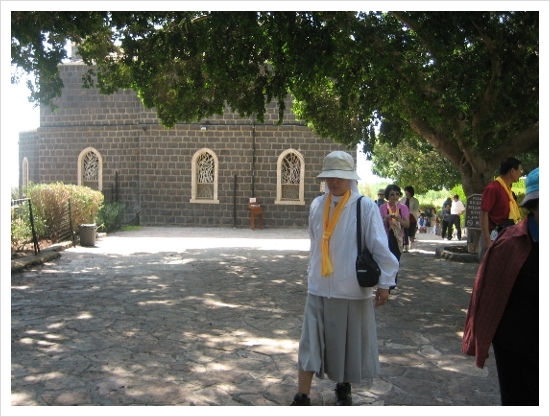 타브가(TABGHA)의 베드로 수위권 성당, Church of the Primacy of Peter 타브가(TABGHA)의 베드로 수위권 성당, Church of the Primacy of Peter