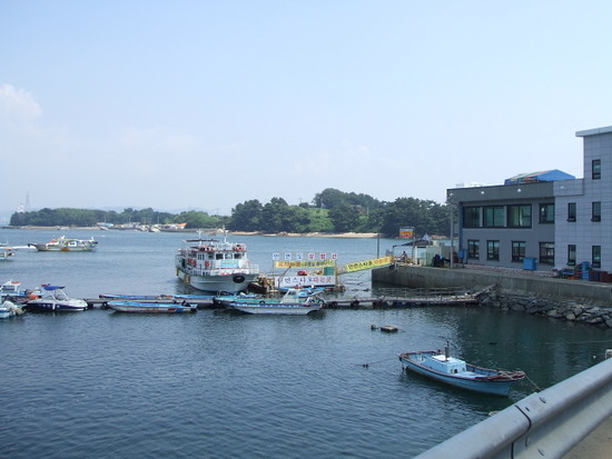 안면도 휴양림 및 수목원 - 20080428~20080429 안면도 휴양림 및 수목원 - 20080428~20080429