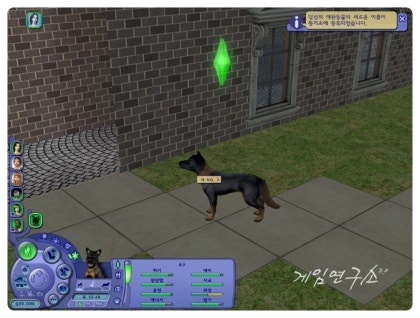 심즈 2 애완견을 조랑말로 키우다