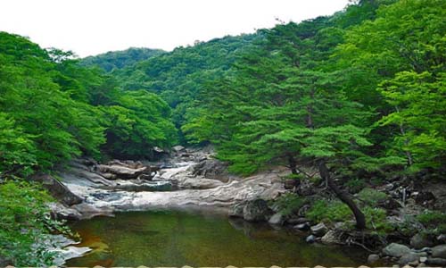  행복